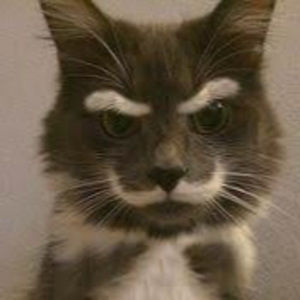 Meet your Posher, Greg